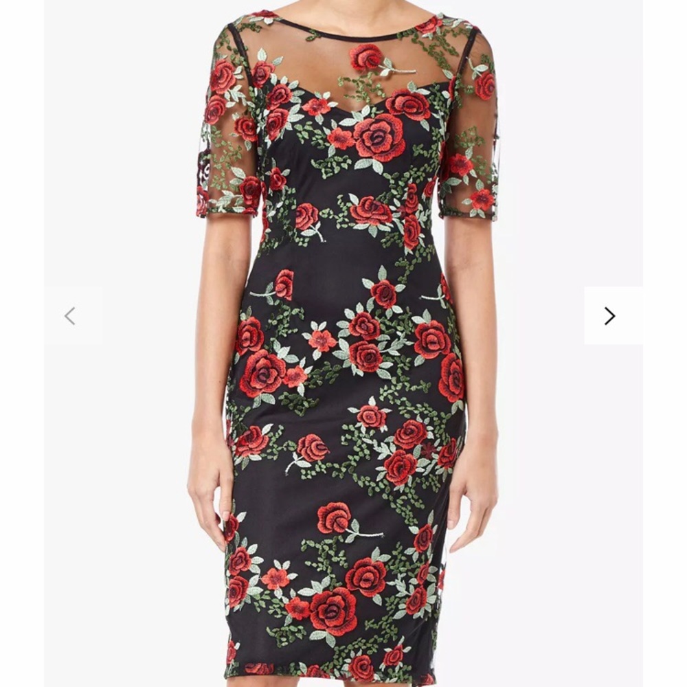 Adrianna Papell Falling Roses Embroidered Sheath Cocktail Dress US 2 NWT
